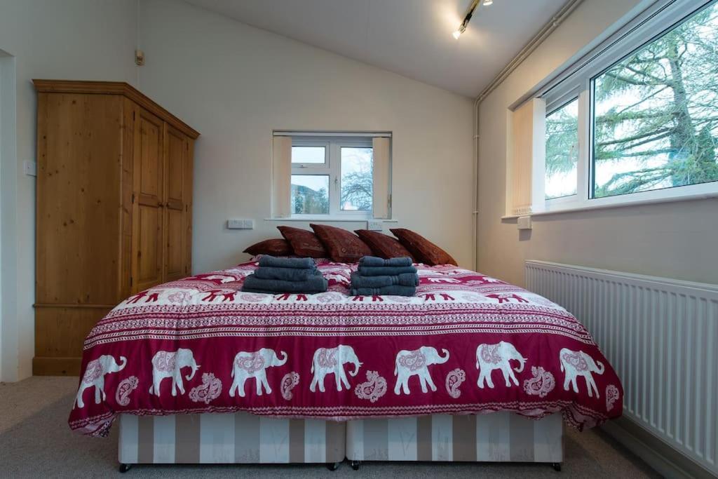Bristol Self-Catering Studio+Kitchen+Parking Eksteriør billede